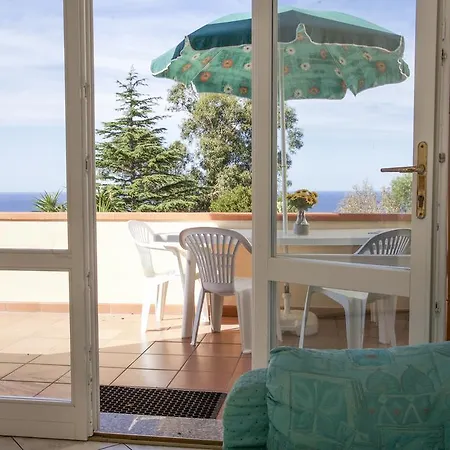 Bougainvillea Primo Piano - Goelba Zanca