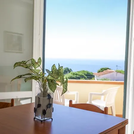Bougainvillea Primo Piano - Goelba Zanca