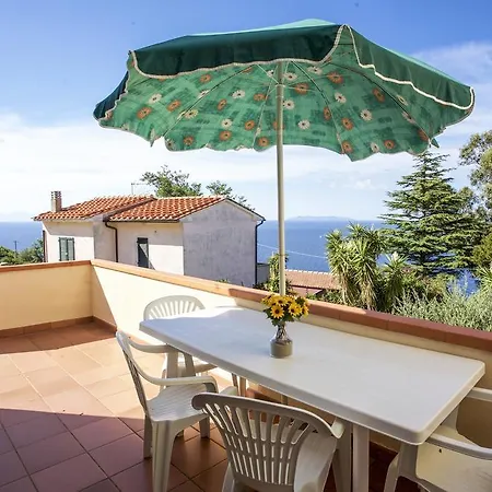 Bougainvillea Primo Piano - Goelba Zanca