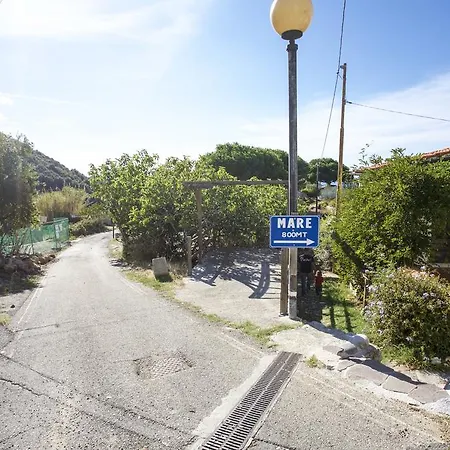 Bougainvillea Primo Piano - Goelba Zanca