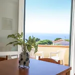 Bougainvillea Primo Piano - Goelba Zanca
