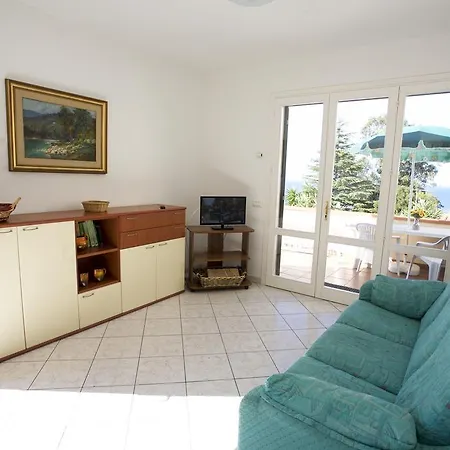 Bougainvillea Primo Piano - Goelba