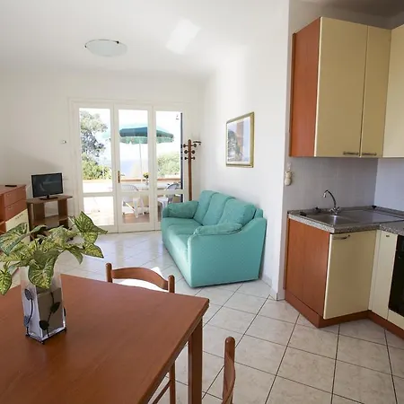 Bougainvillea Primo Piano - Goelba