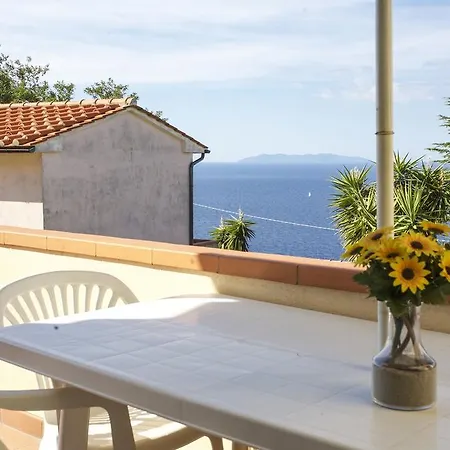 Bougainvillea Primo Piano - Goelba