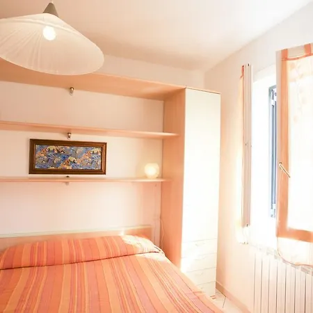 Bougainvillea Primo Piano - Goelba Zanca