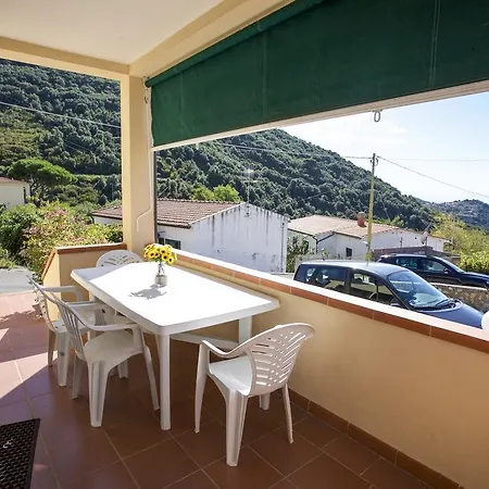 Bougainvillea Primo Piano - Goelba