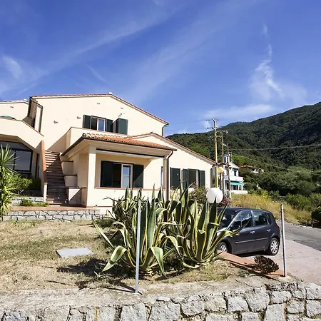 Bougainvillea Primo Piano - Goelba Zanca