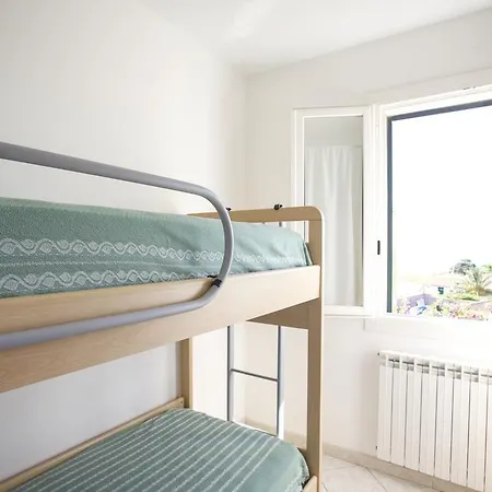 Bougainvillea Primo Piano - Goelba Zanca