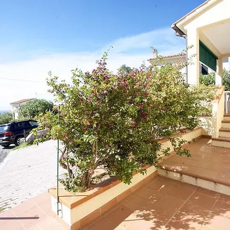 Bougainvillea Primo Piano - Goelba Zanca